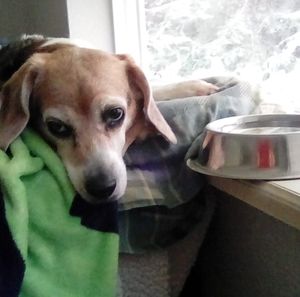 Meet your Posher, Debbie